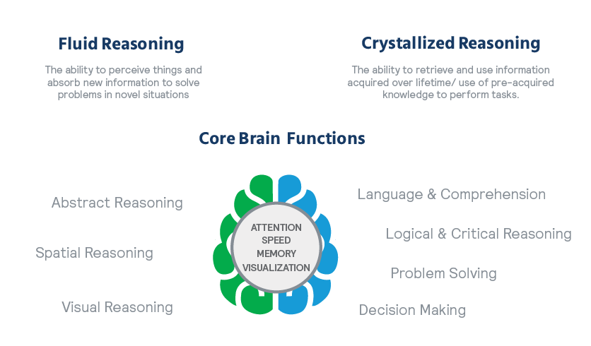 fluid reasoning, crystallized reasoning, and key brain functions