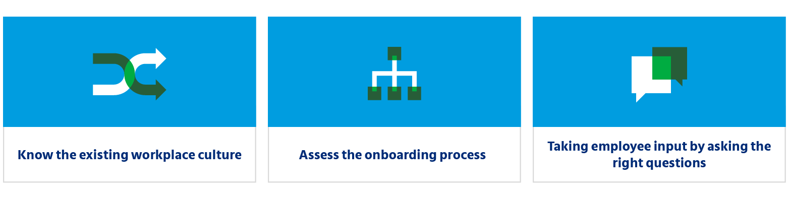 cultural assessment_Infographic 1