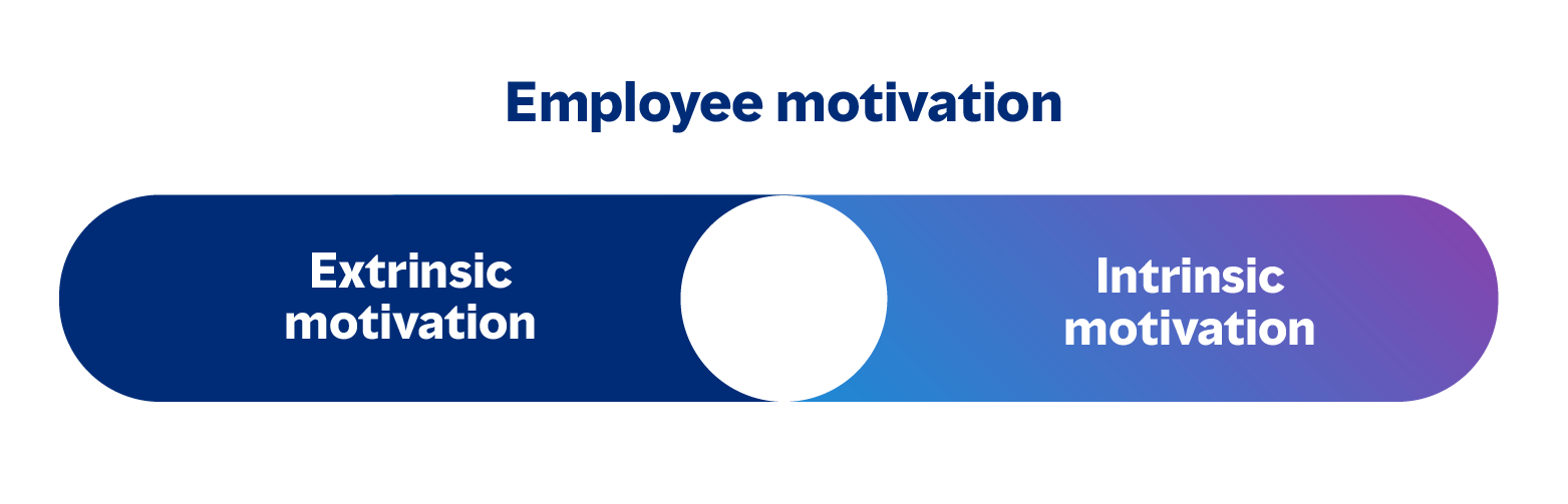 Image banner